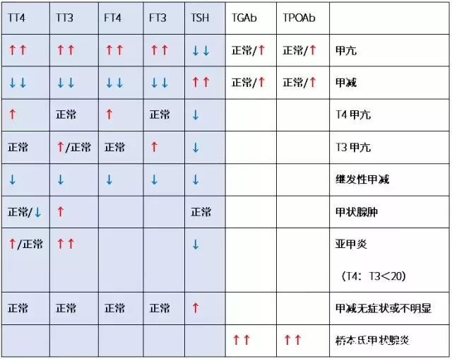 甲功七项正常值图片图片