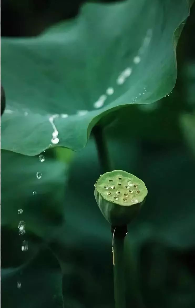 人,天地過客,一切隨緣!