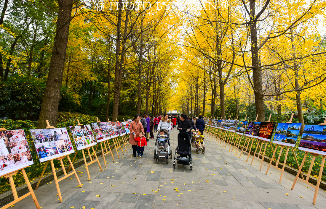 成都人民公園的相親角,寄託了父母對子女的愛,但真的靠譜嗎?