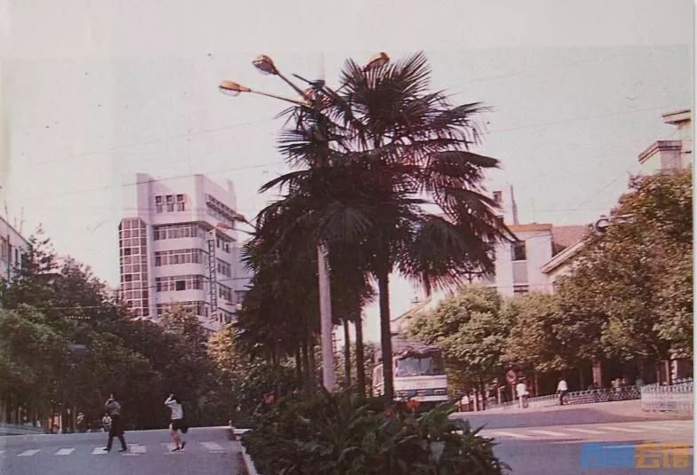 1965年,東鍋廠遷到檀木林上段的珍珠寺.