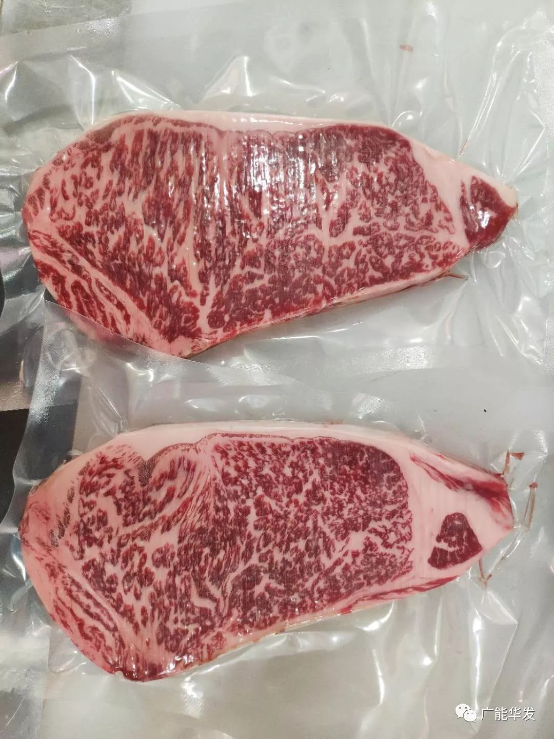 广能华发极品好牛肉m9级澳洲和牛