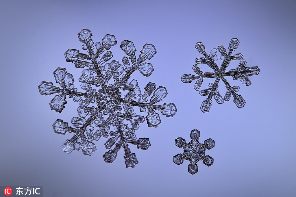 拍雪花的参数图片