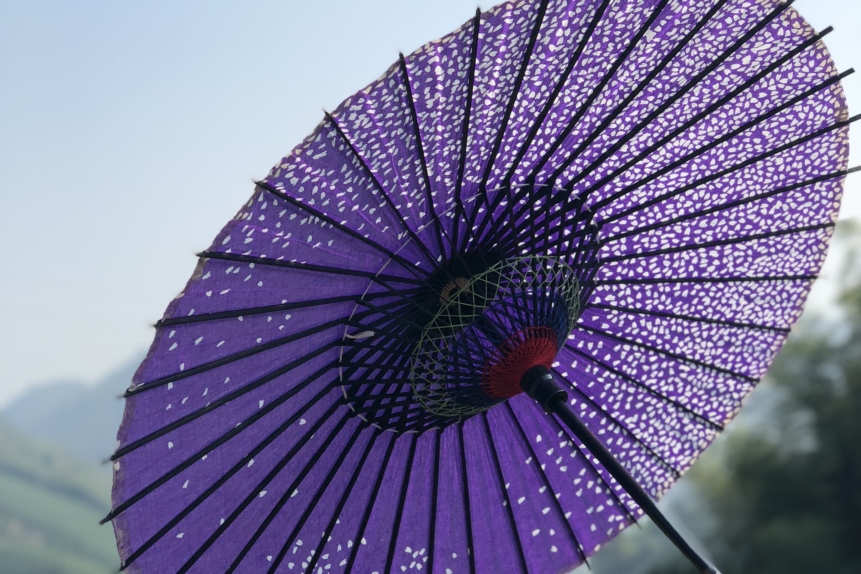 油纸伞是汉民族传统的日用雨伞,使用历史已有1000多年