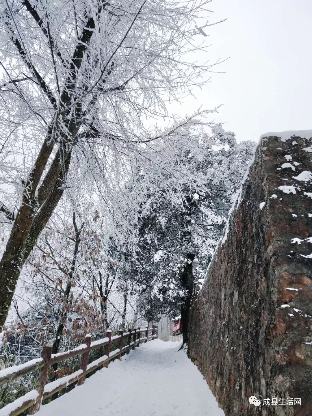 惊艳成县鸡峰山雪后美景到货神秘绝美的仙境