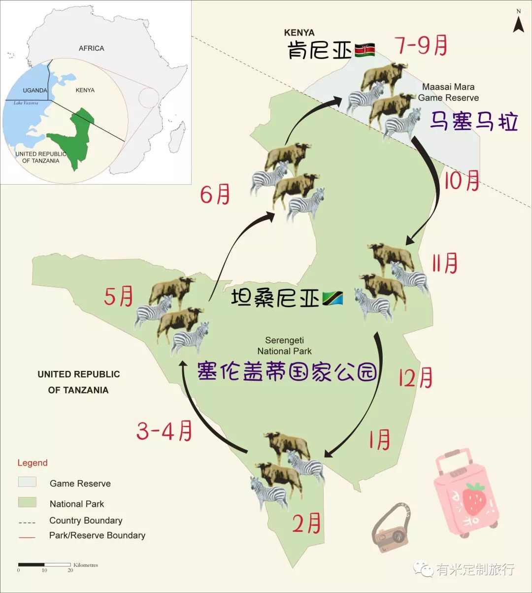 有米科普篇东非动物大迁徙了解动物是如何开启狂吃之旅的