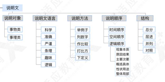 4,現代文之議論文5,文言文之實詞和虛詞6,作文