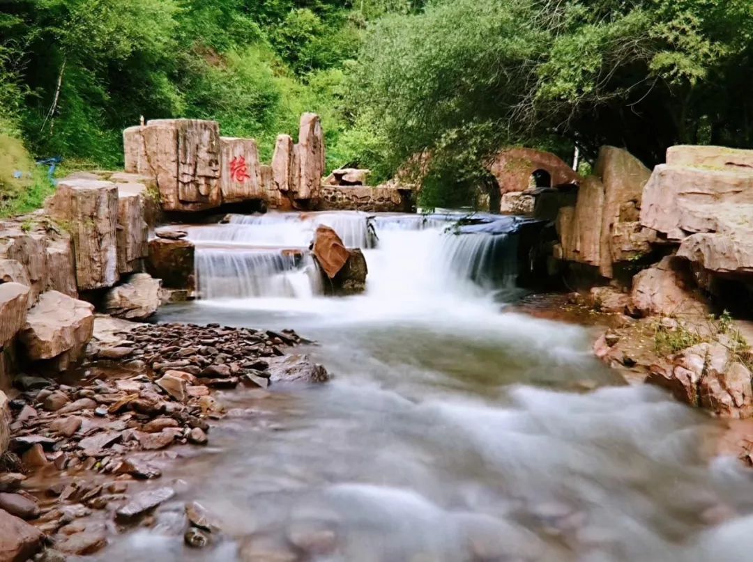 大家族裡的兄弟姐妹嚒:小南川,生態博物館,生態植物園,涼殿峽,野荷谷