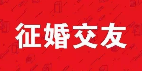 內蒙古涼城縣徵婚交友信息平臺