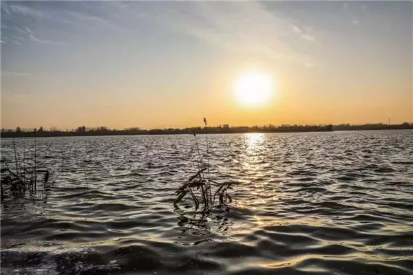 【旅遊資訊】鄢陵縣鶴鳴湖水利風景區榮獲