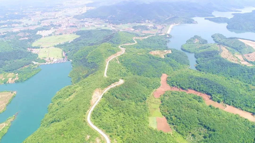 浠水策湖國家溼地公園,武漢安山國家溼地公園,通山富水湖國家溼地公園