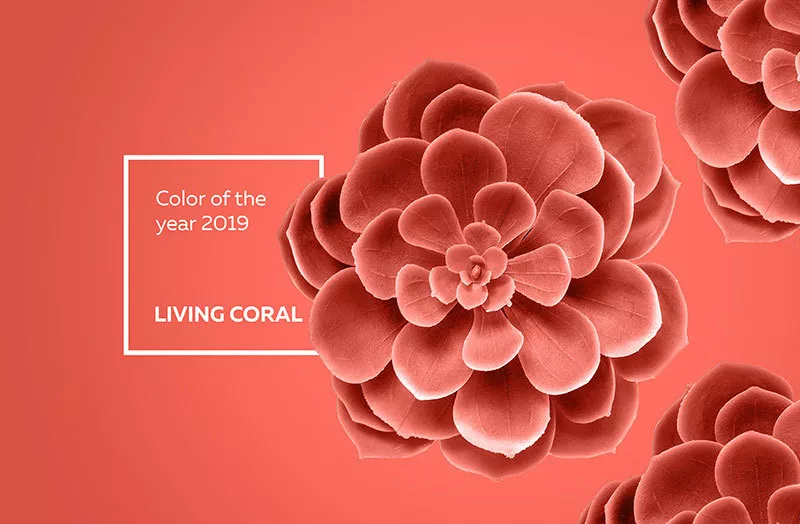2019年度色彩「珊瑚橙」,给家点颜色看看?