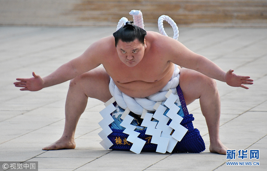 相扑运动员照片图片