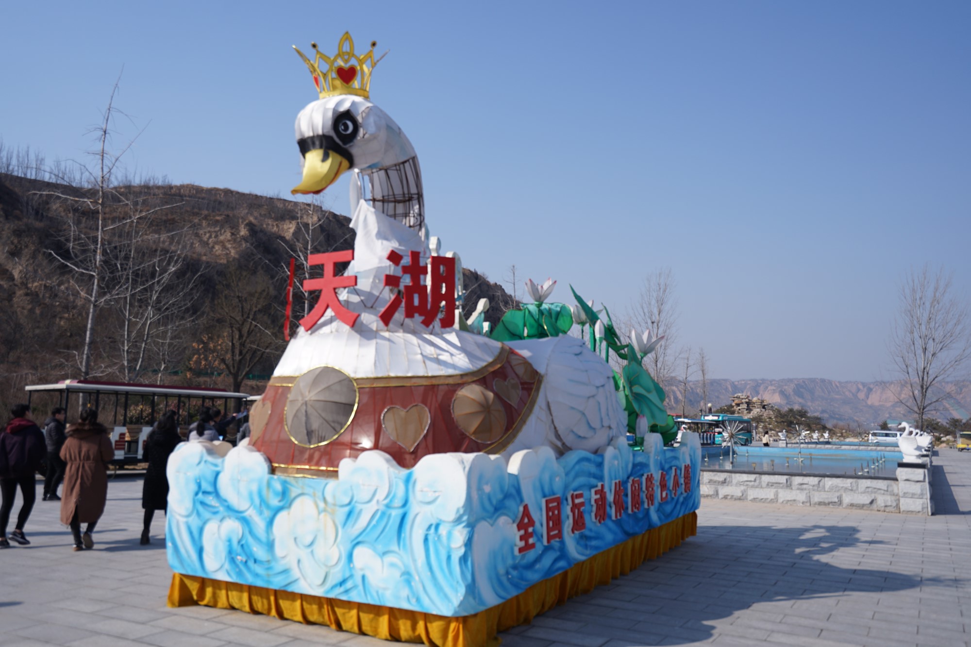 春节放假到圣天湖看天鹅，数千只野生白天鹅美得不像话