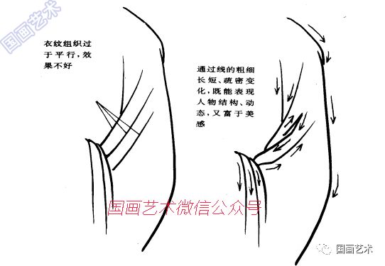 莼菜条描法图片