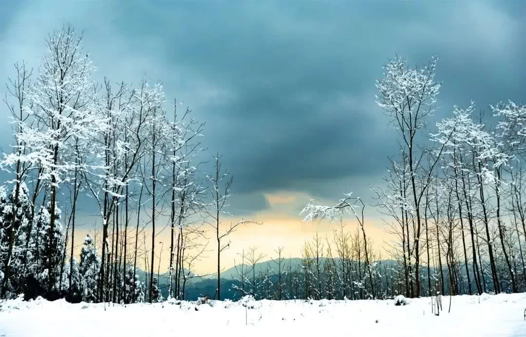 成都最極致的雪景比雪鄉更驚豔比雪鄉更純淨