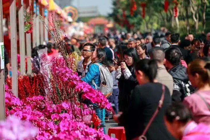 官宣2019大良迎春花市最全攻略