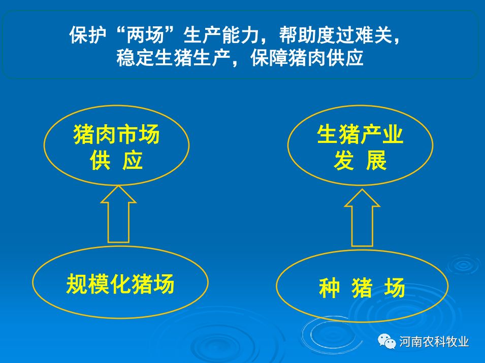 生猪出栏量增加生猪和能繁母猪存栏双下降