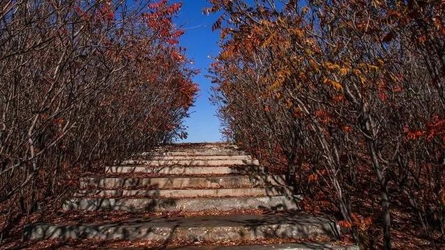 一條微信帶你領略石嘴山惠農區的春夏秋冬刷爆你的朋友圈