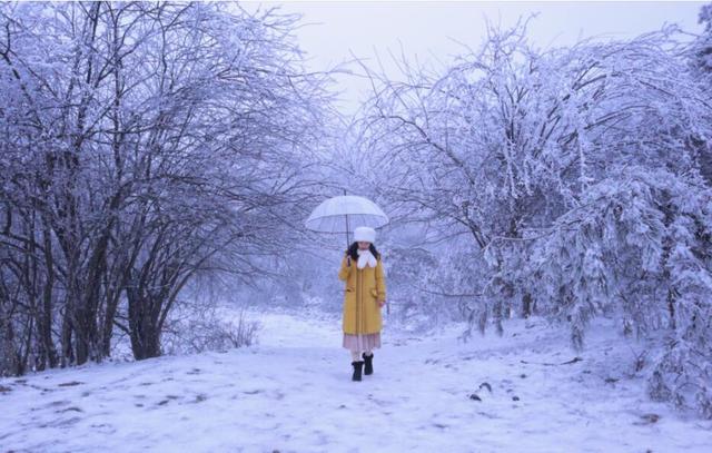 雪景不如人美图片