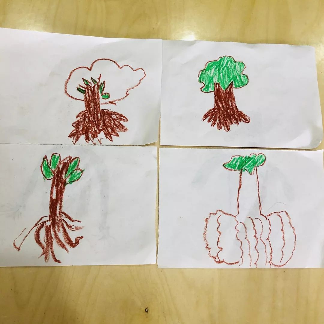 神奇的树根幼儿画图片