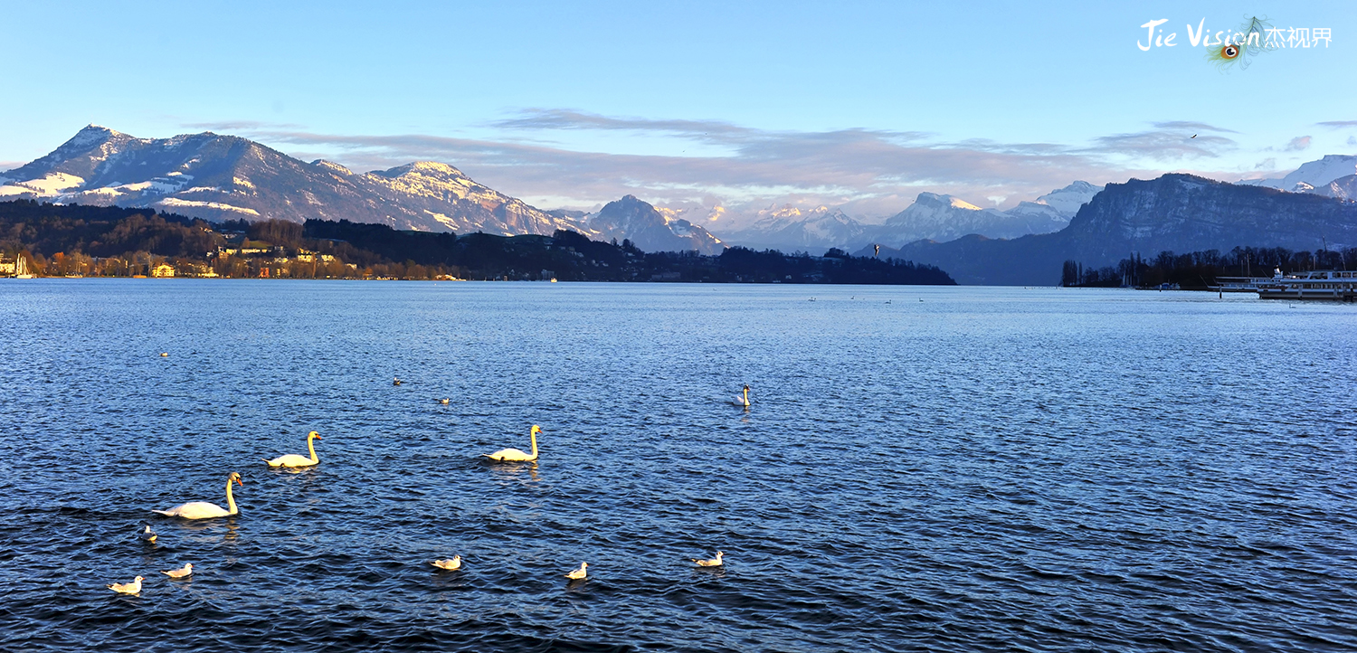 瑞士天鹅湖又叫琉森湖图片