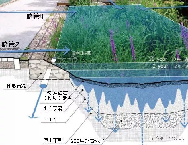 下沉式绿地剖面图图片