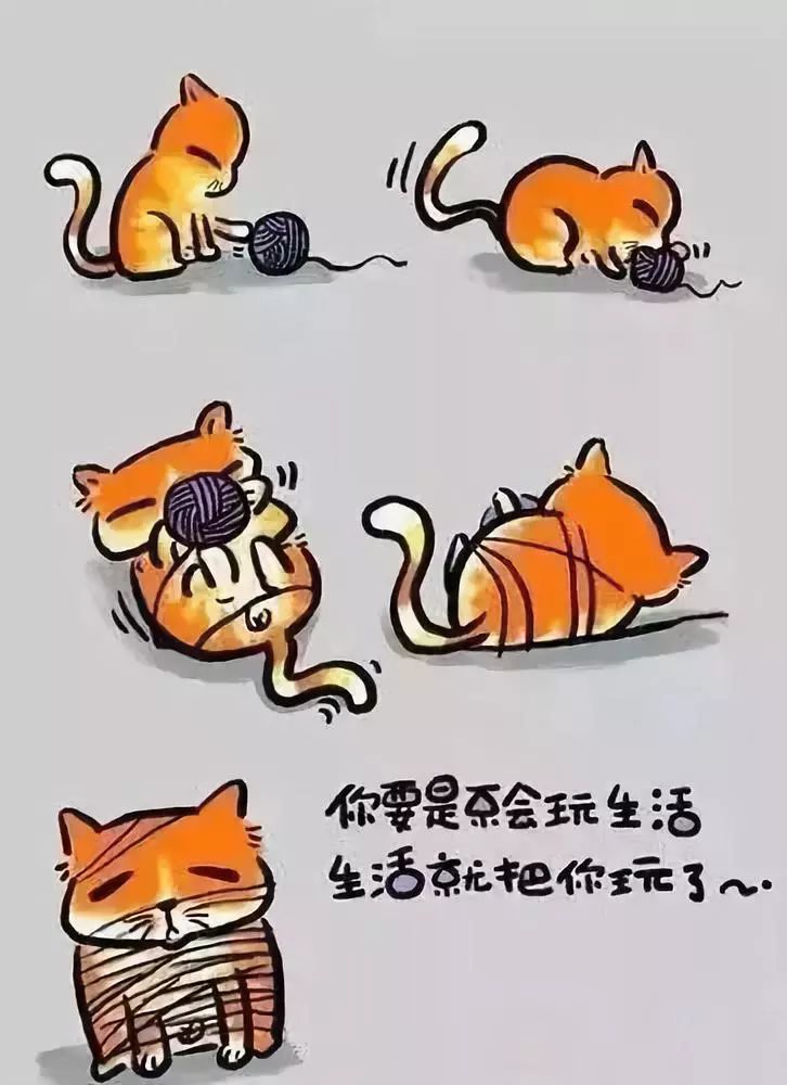 什么是生活(什么是生活随笔)