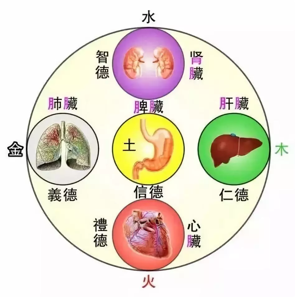 女人你不懂中医五行擦什么化妆品都没用