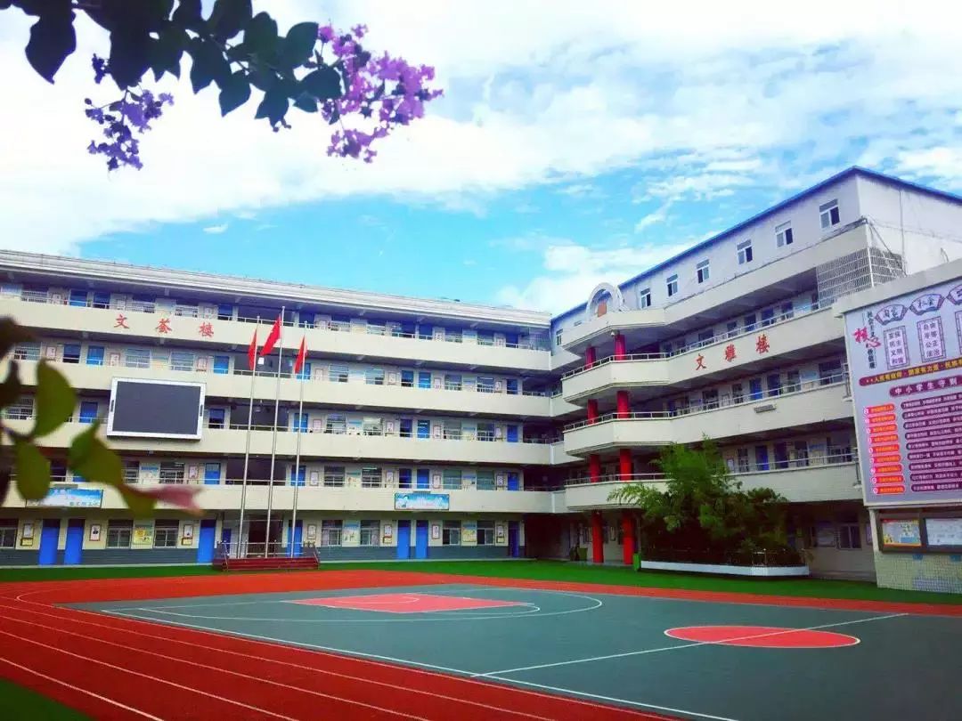 阜阳市文峰小学图片