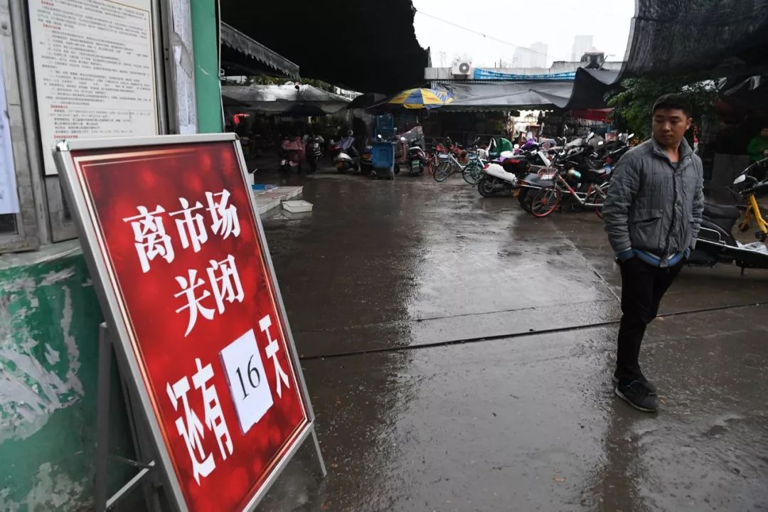 溫州景山花木市場25日正式關停今後買花卉寵物要去