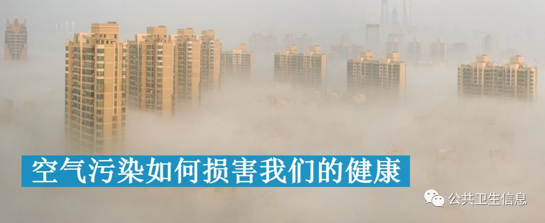 空氣汙染如何損害我們的健康