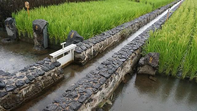 水利而粮丰农田水利凝聚黑土地连丰水力量