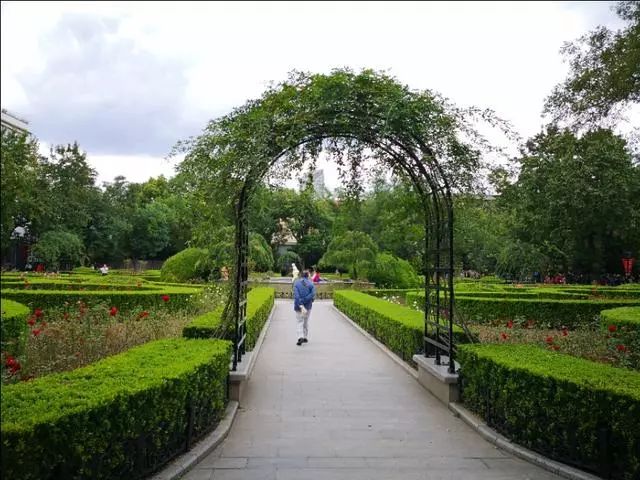 上海乔灌木种类最多的公园,140多种1万多株,法国式园林风格
