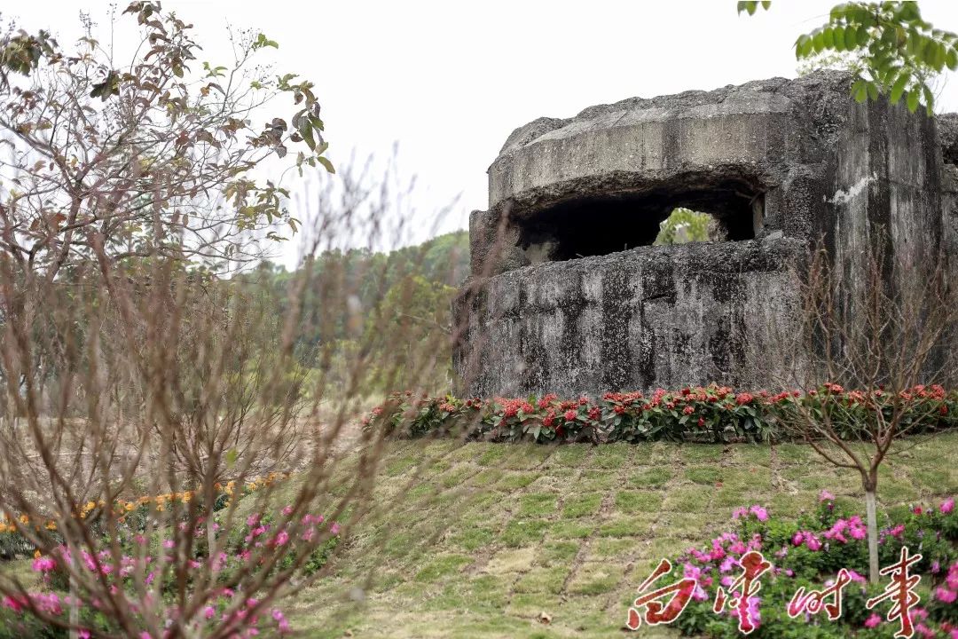 均禾石馬桃花開了!_公園