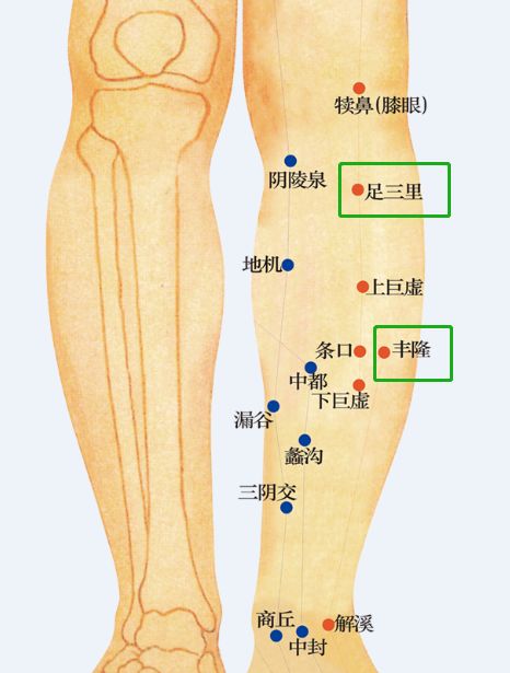 手法:患者取坐位,将拇指指腹按放于穴位处,其余四指弯曲置于小腿外侧