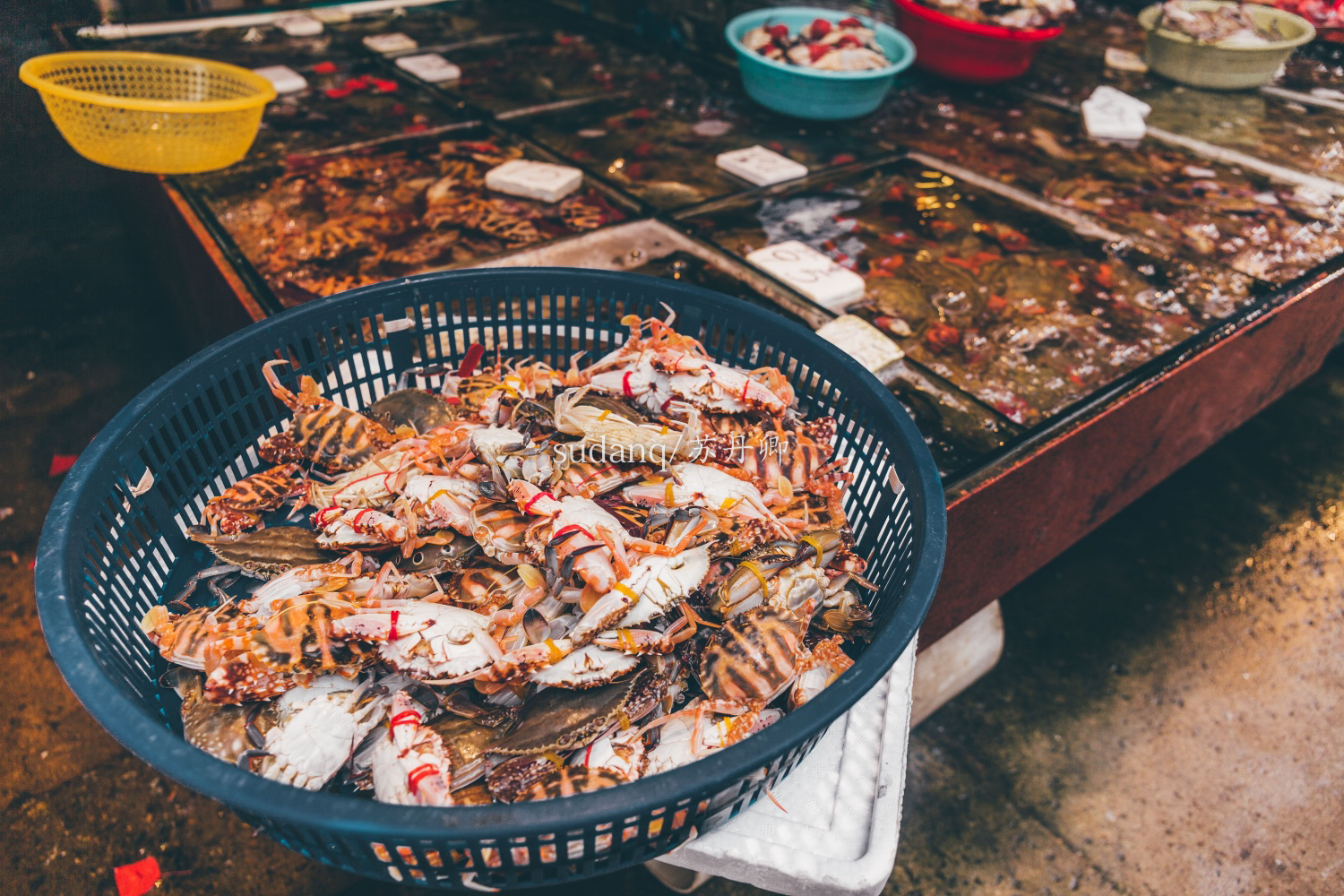 去厦门旅游别只顾着粉饰文艺,俗气的八市海鲜市场极致到雅