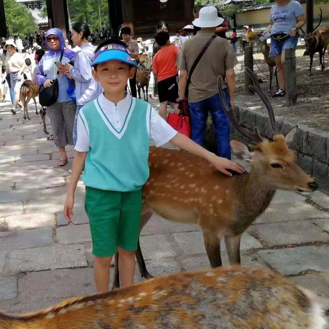 金元翔张宸陈奕丹阚国鸣高望峰宋文浩声乐吴昊宸王润琪孙一冉宋芳羽赵