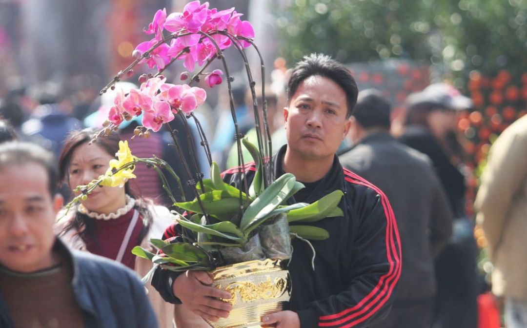 逛花街也有窍门让专家帮你解锁逛花街的正确方式