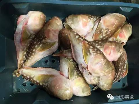 魚春子魚船凍秋刀魚赤棕魚超低溫金槍魚長鰭唇指魚養殖長江鰣魚長江白