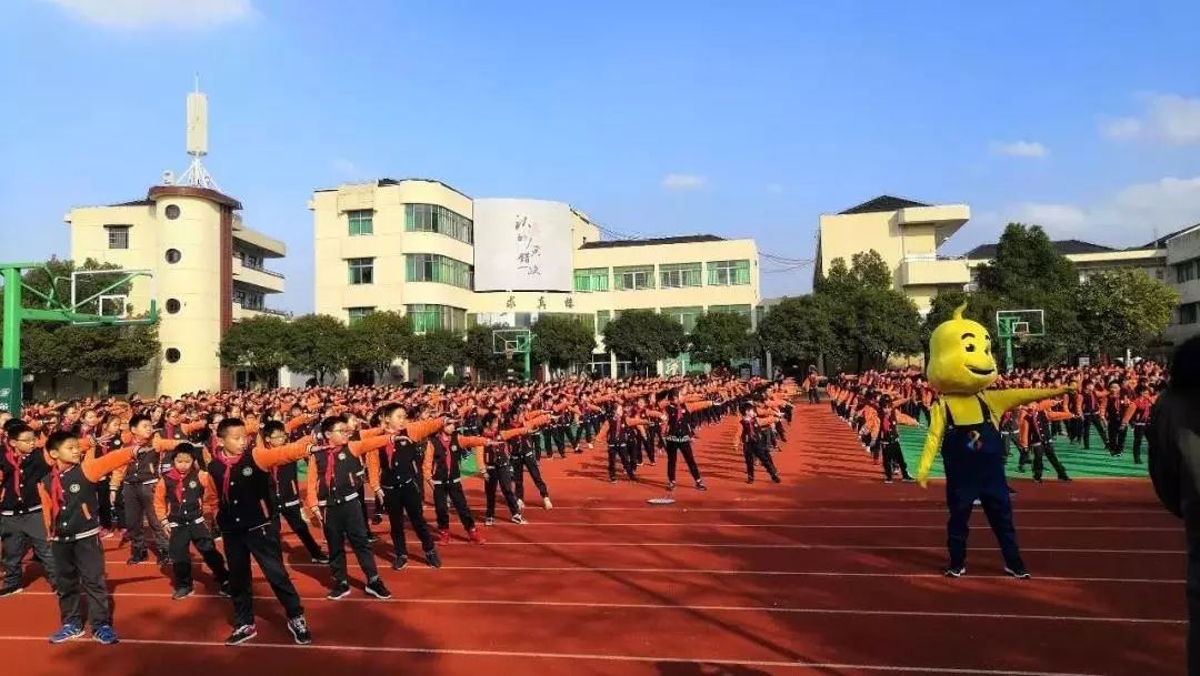 5浓度又降了|余杭蝉联全市中小学生体能素质检测五连冠