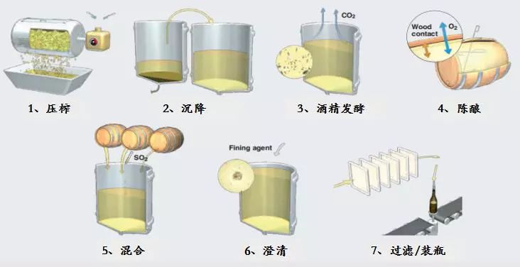 壓碎葡萄得到的葡萄汁經發酵製成葡萄酒,通常是在酒桶中陳化.