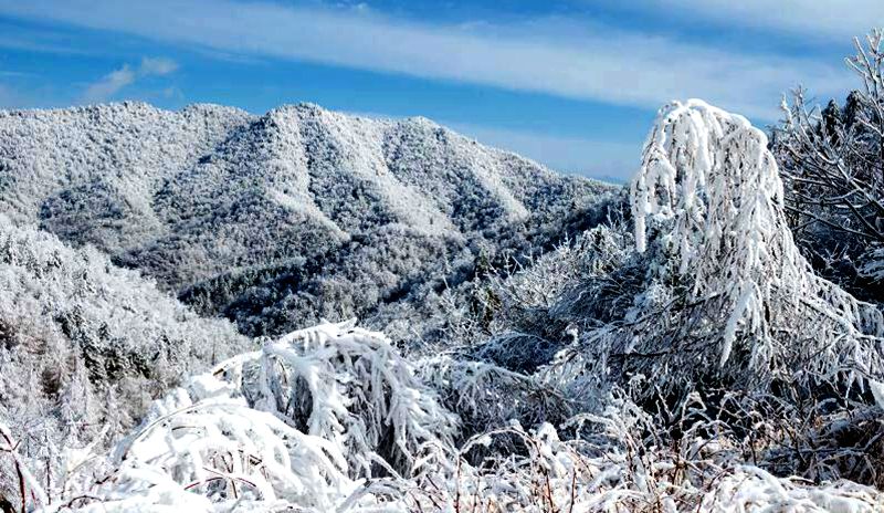 品高山生態蜂蜜賞華鎣山雪景鄭女士有話說