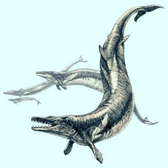巨大的古代鲸鱼是始新世海洋中的顶级掠食者