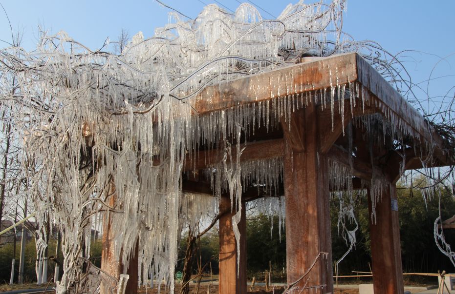 海阳植物园人造冰瀑景观姿态万千,快来看!