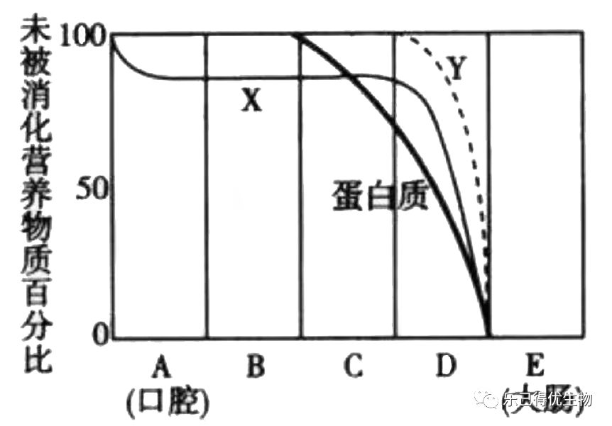 初中生物知識點之生物圈中的人_功能