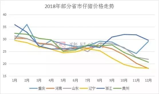 根據豬易網友報價,2018年上半年仔豬價格下滑明顯