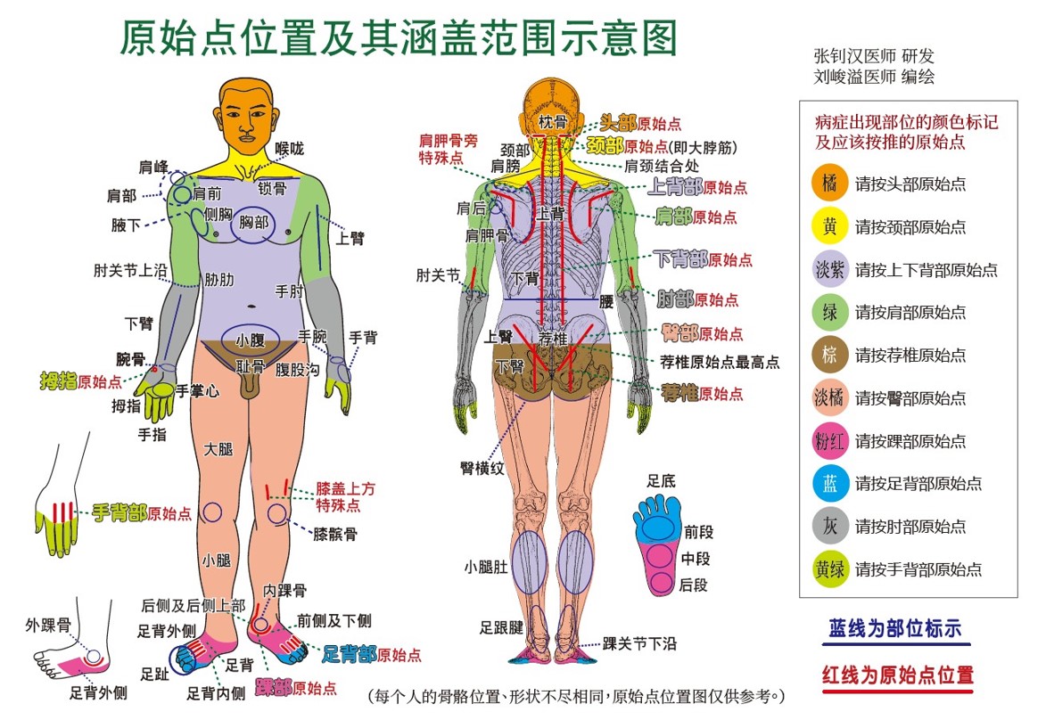 学习原始点理论手法细节须知