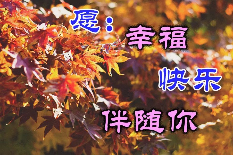 週末早上好祝福語圖片週末早上問候表情動態大全