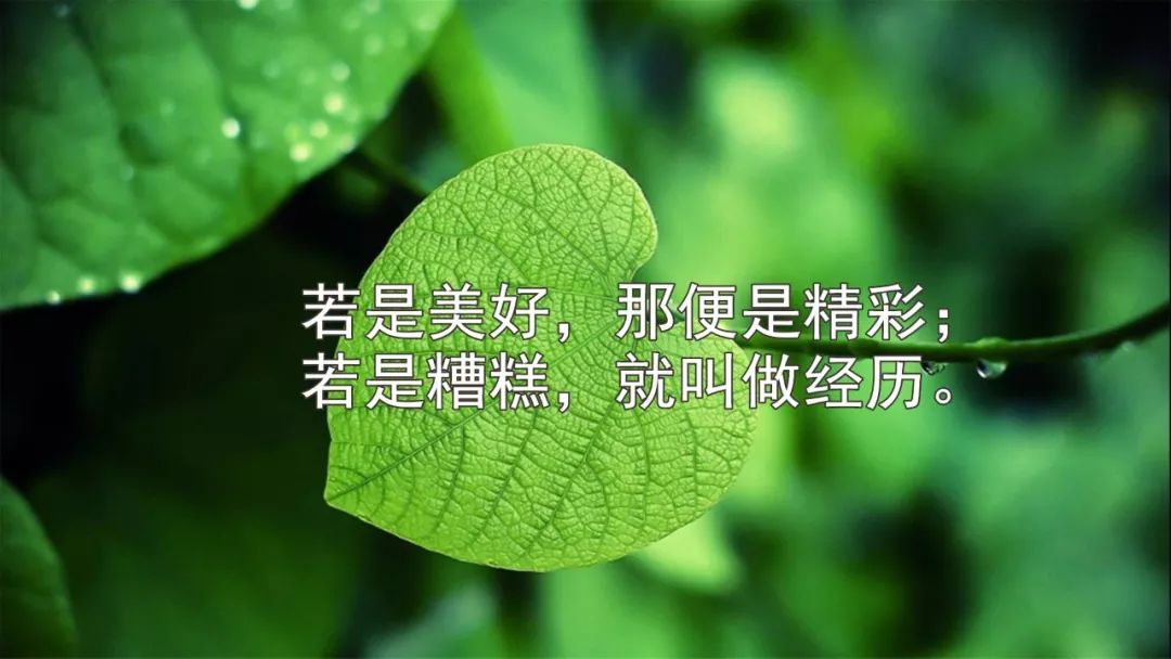 非常精辟的人生正能量经典短句子句句深入人心的哲理句子