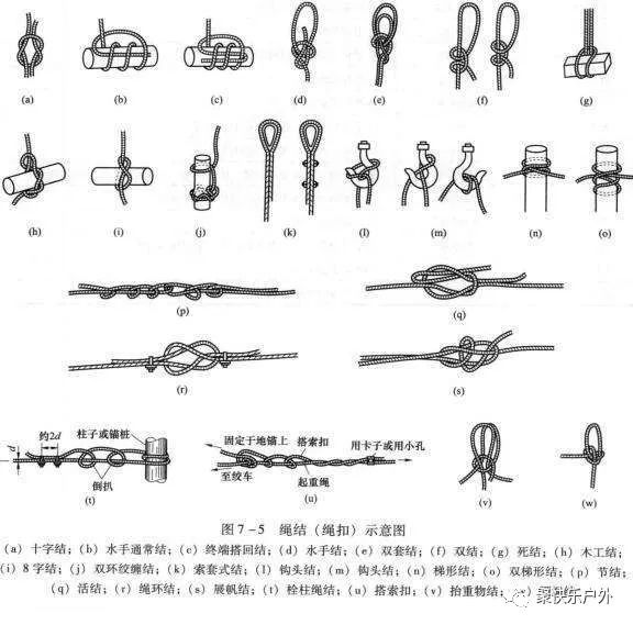 酷刑绳艺图片